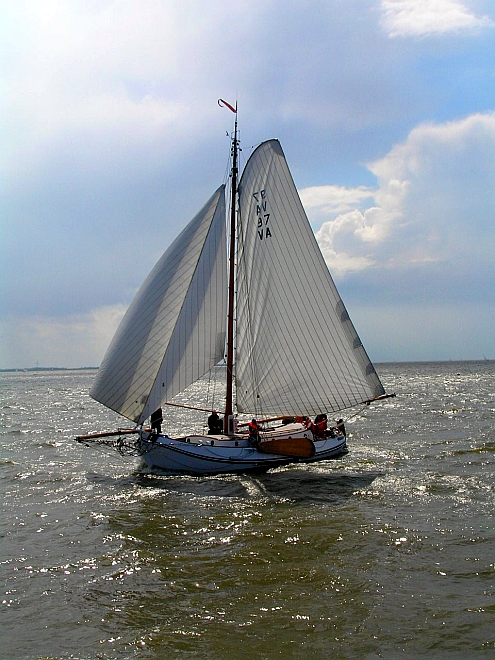 Lemsteraak_Ahoy2008 (58).jpg